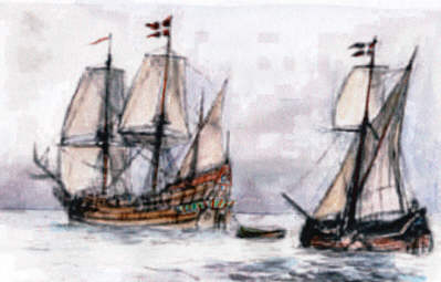20polar