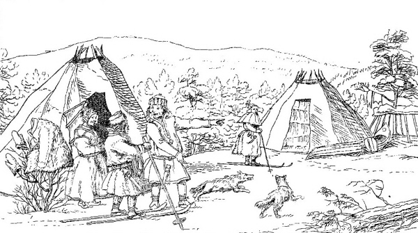 Fjeldfinner