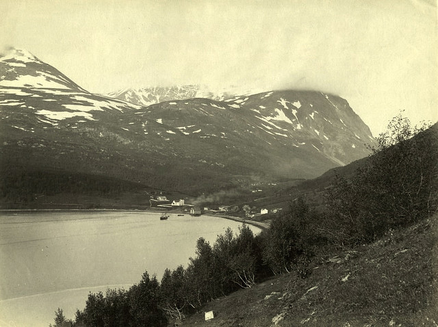 Kjosen
