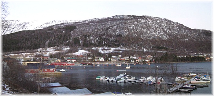 Lyngseidet 2