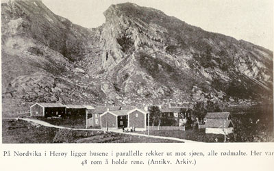 Nordvika