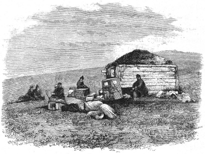 bossekop 2
