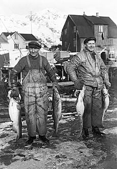 henningsvær manfolk