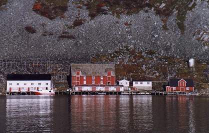 kjollefjord