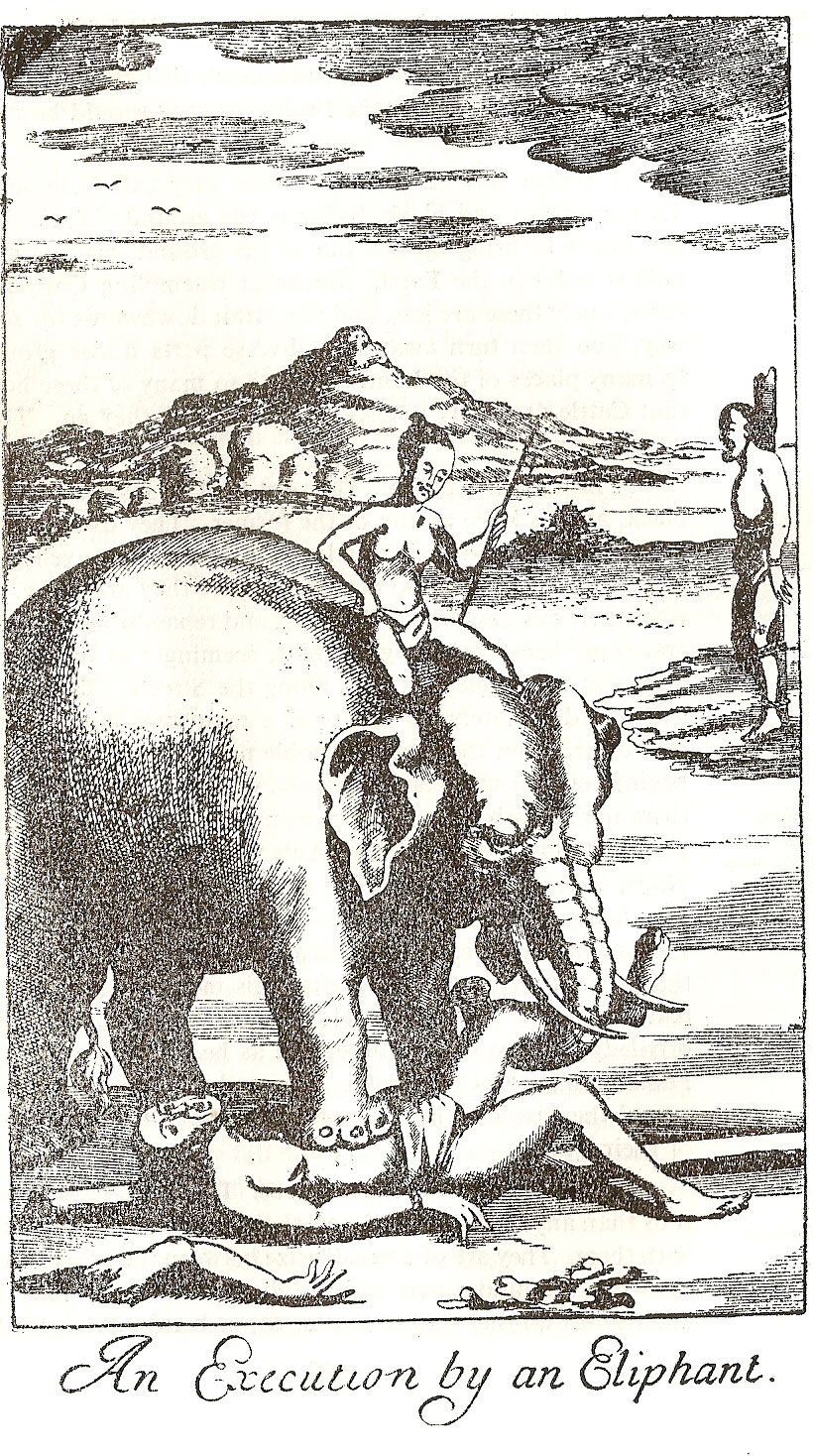 knox-exicutin-elefant