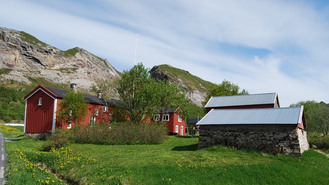 norvik 2