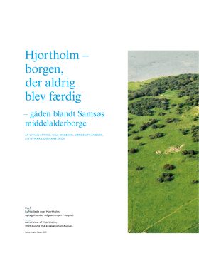 HjortholmBorgen der aldrig blev færdig