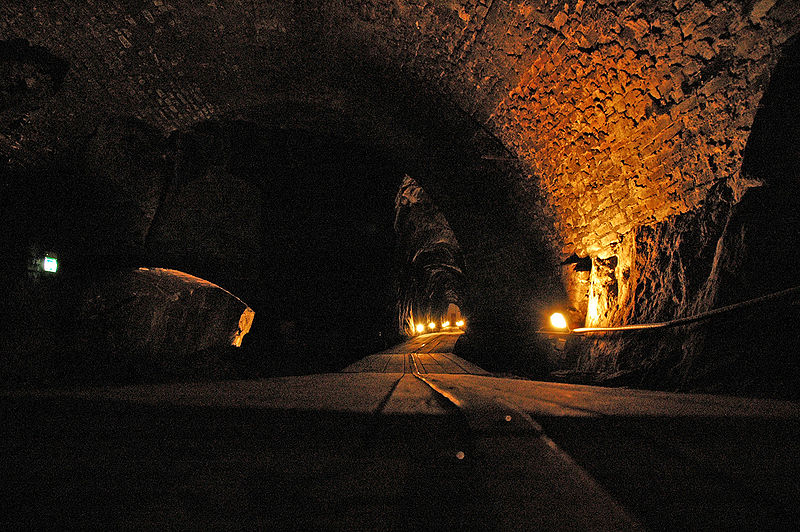 solvmine
